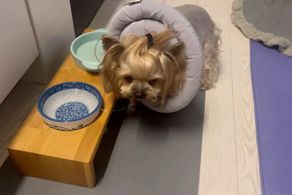 리뷰 사진 8