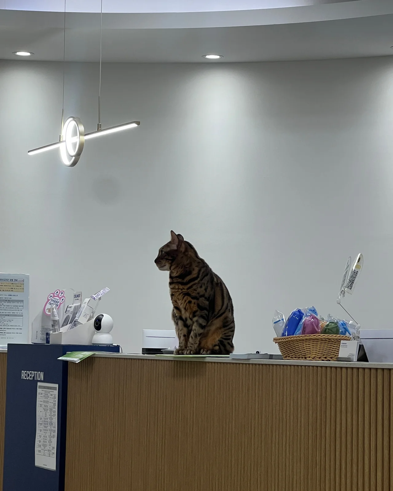 리뷰 사진 2