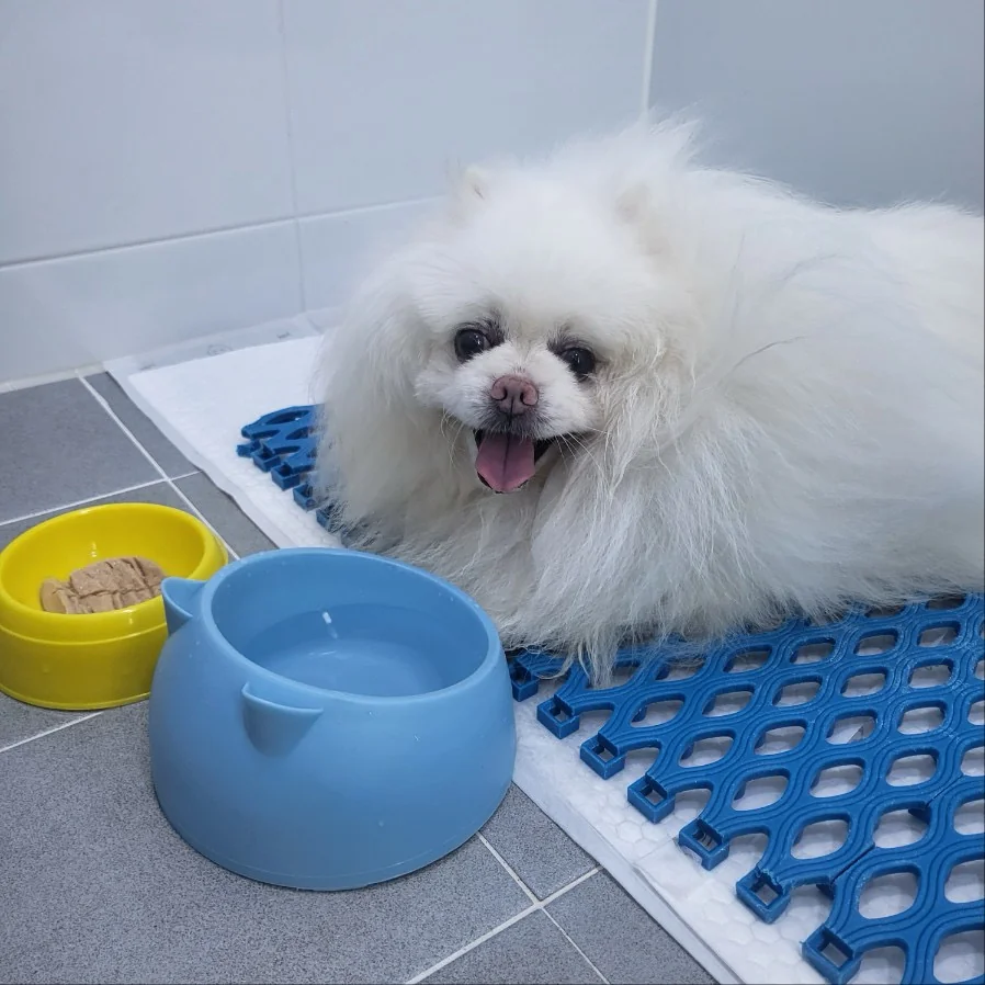 리뷰 사진 2