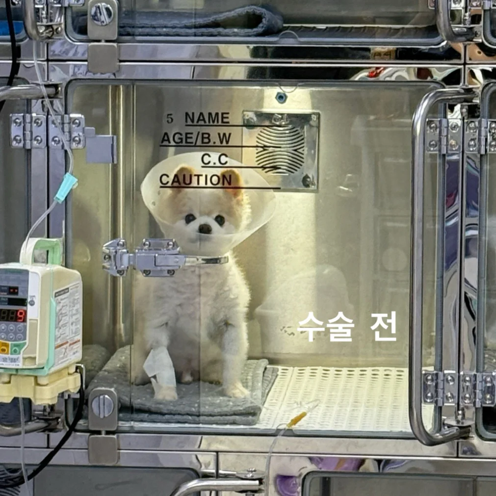 리뷰 사진 1