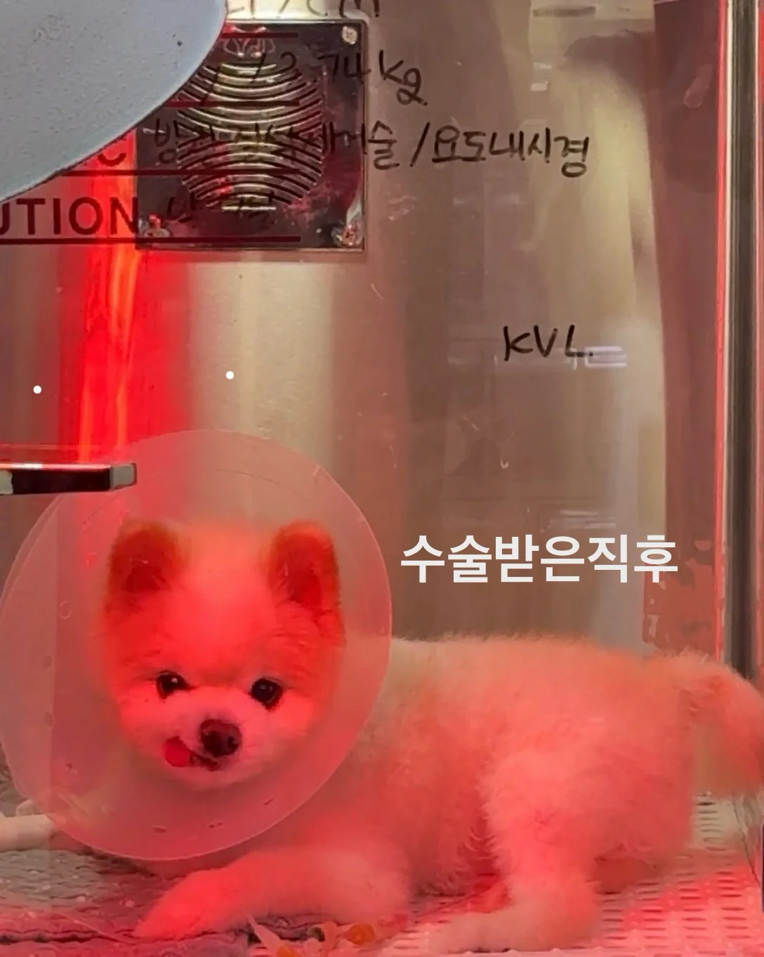 리뷰 사진 3