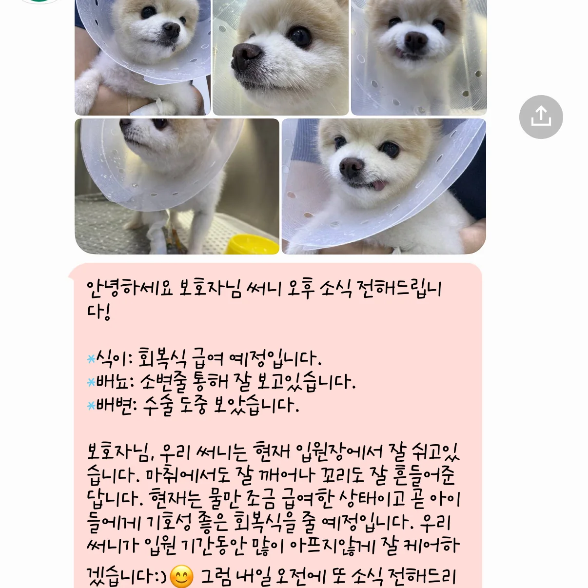 리뷰 사진 6