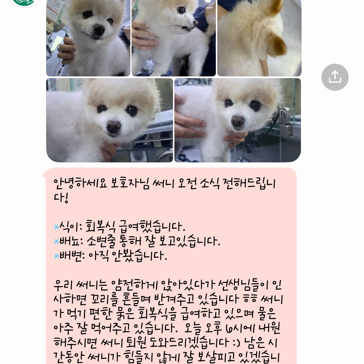 리뷰 사진 7
