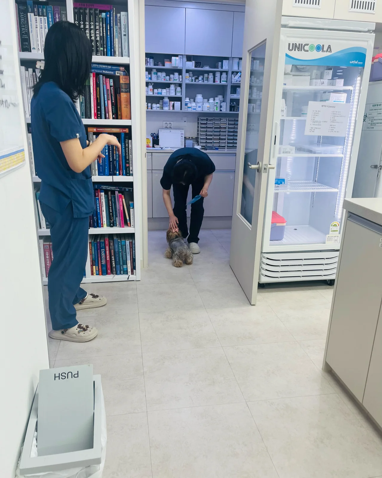 리뷰 사진 4