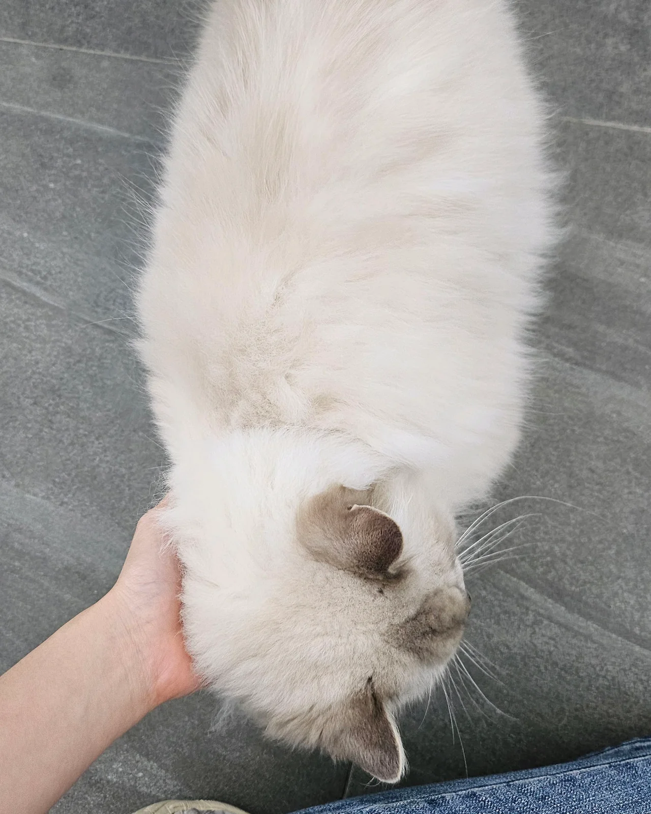 리뷰 사진 4