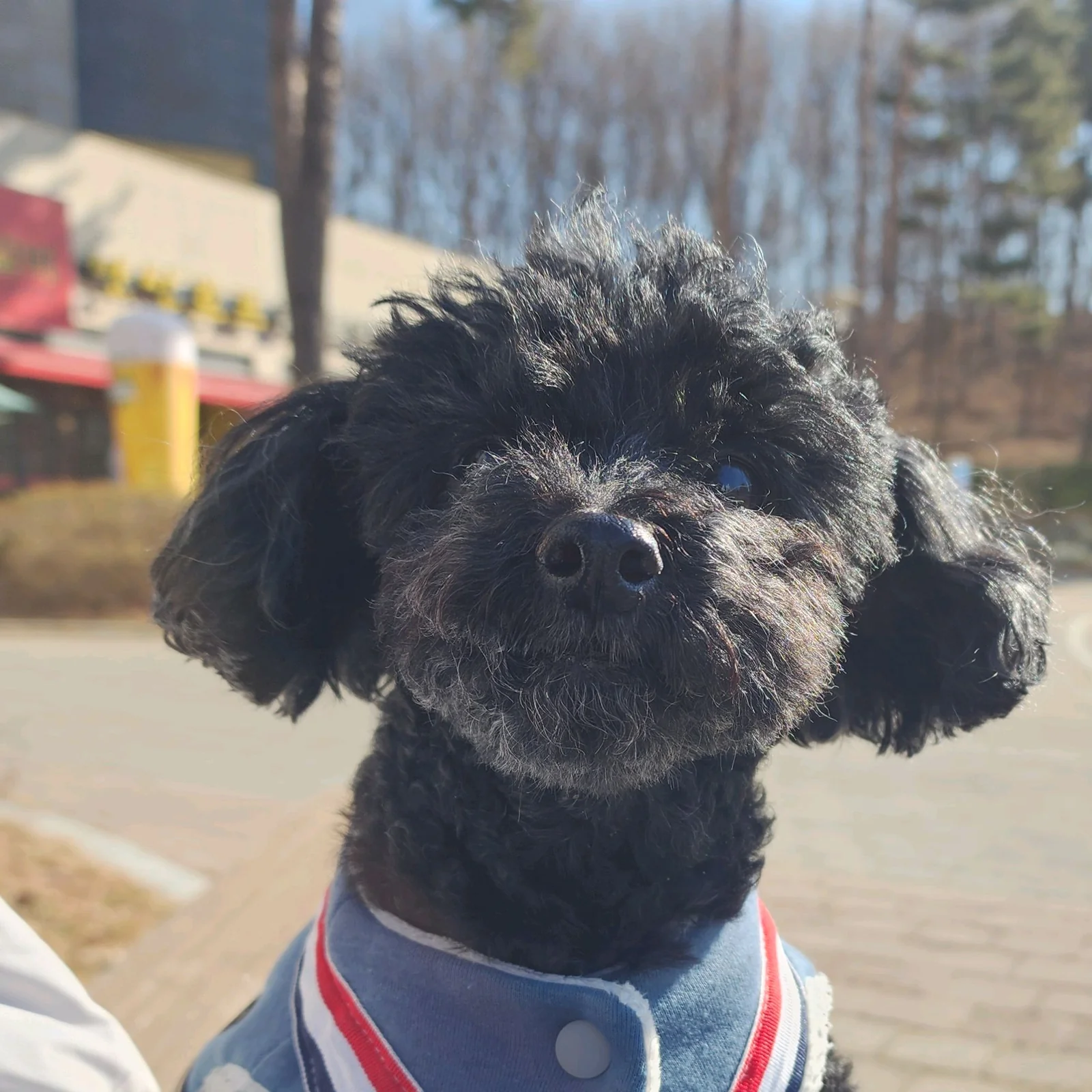 리뷰 사진 1