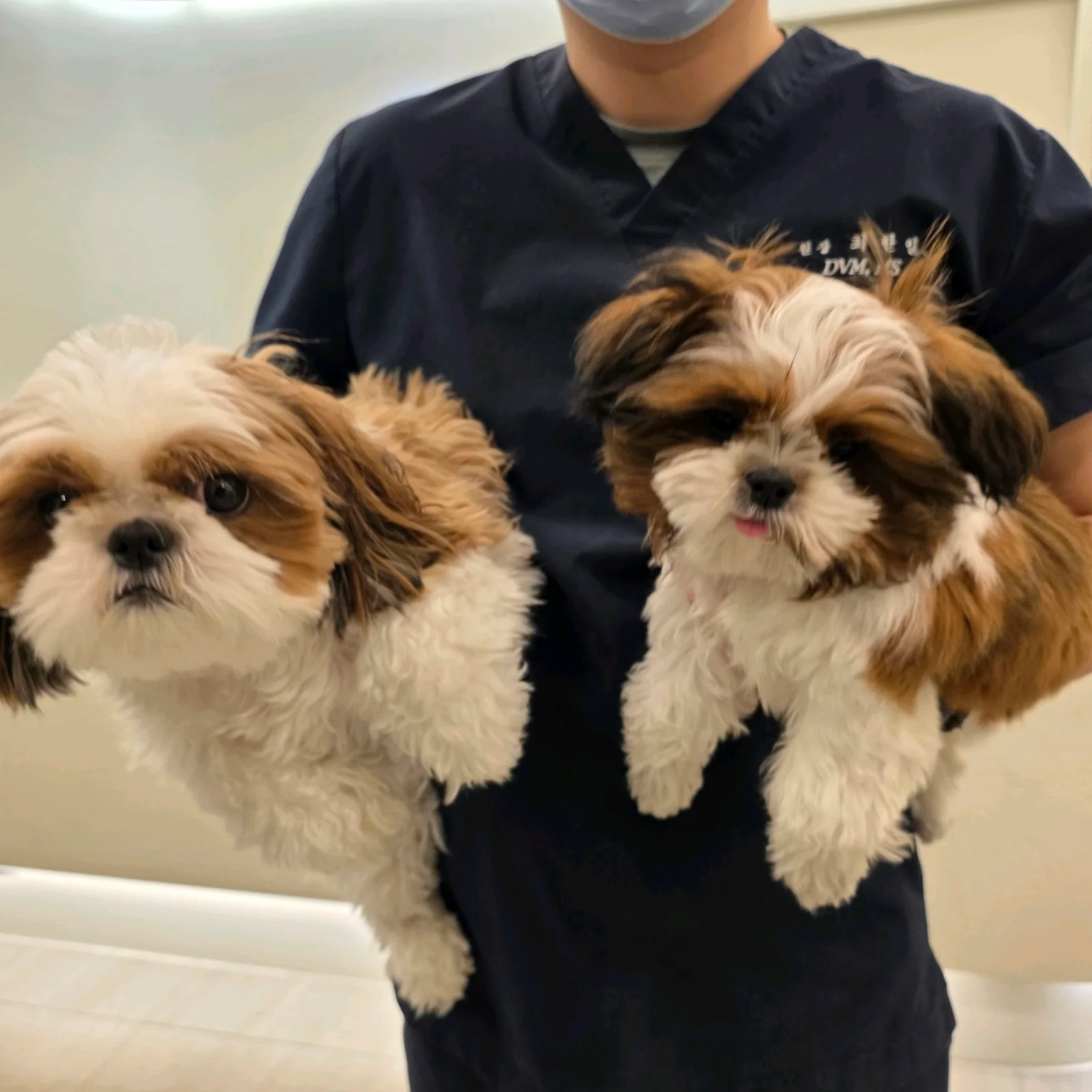 리뷰 사진 3