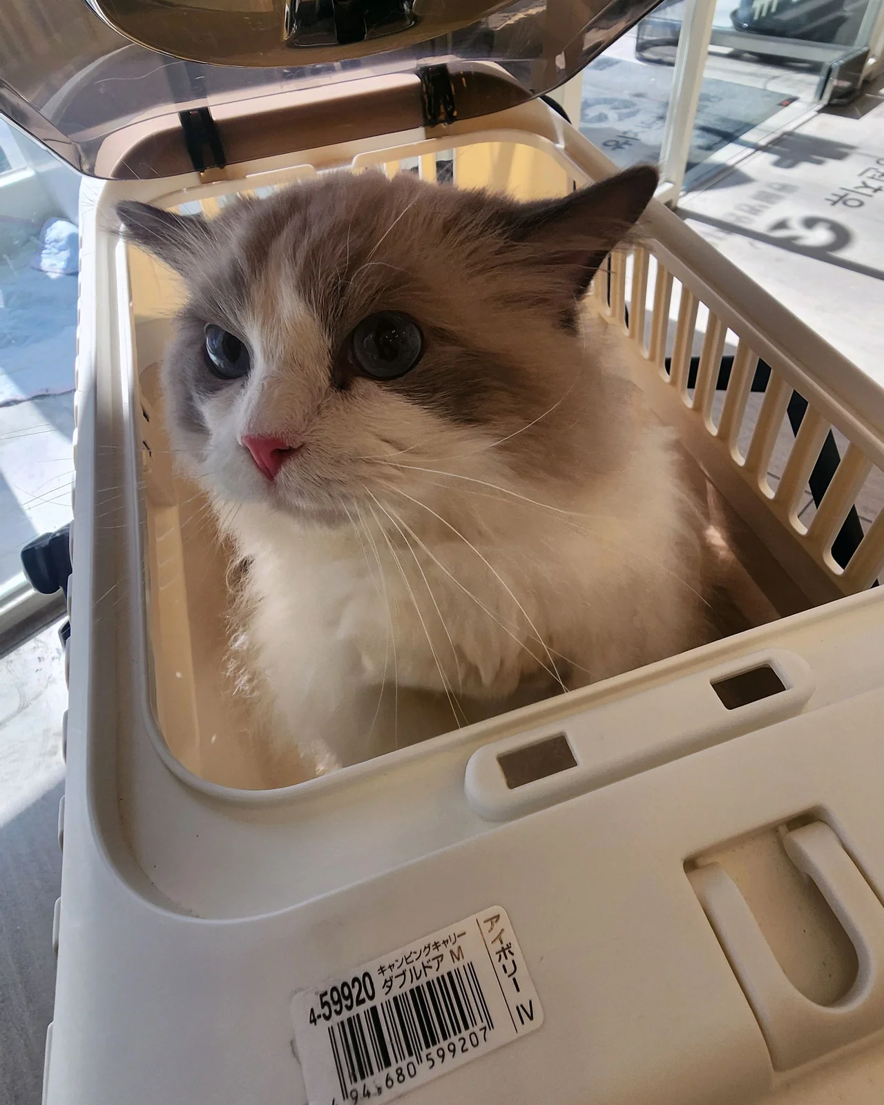 리뷰 사진 1