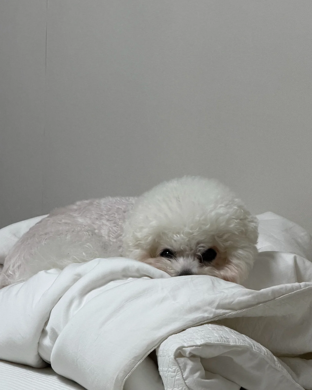 리뷰 사진 2