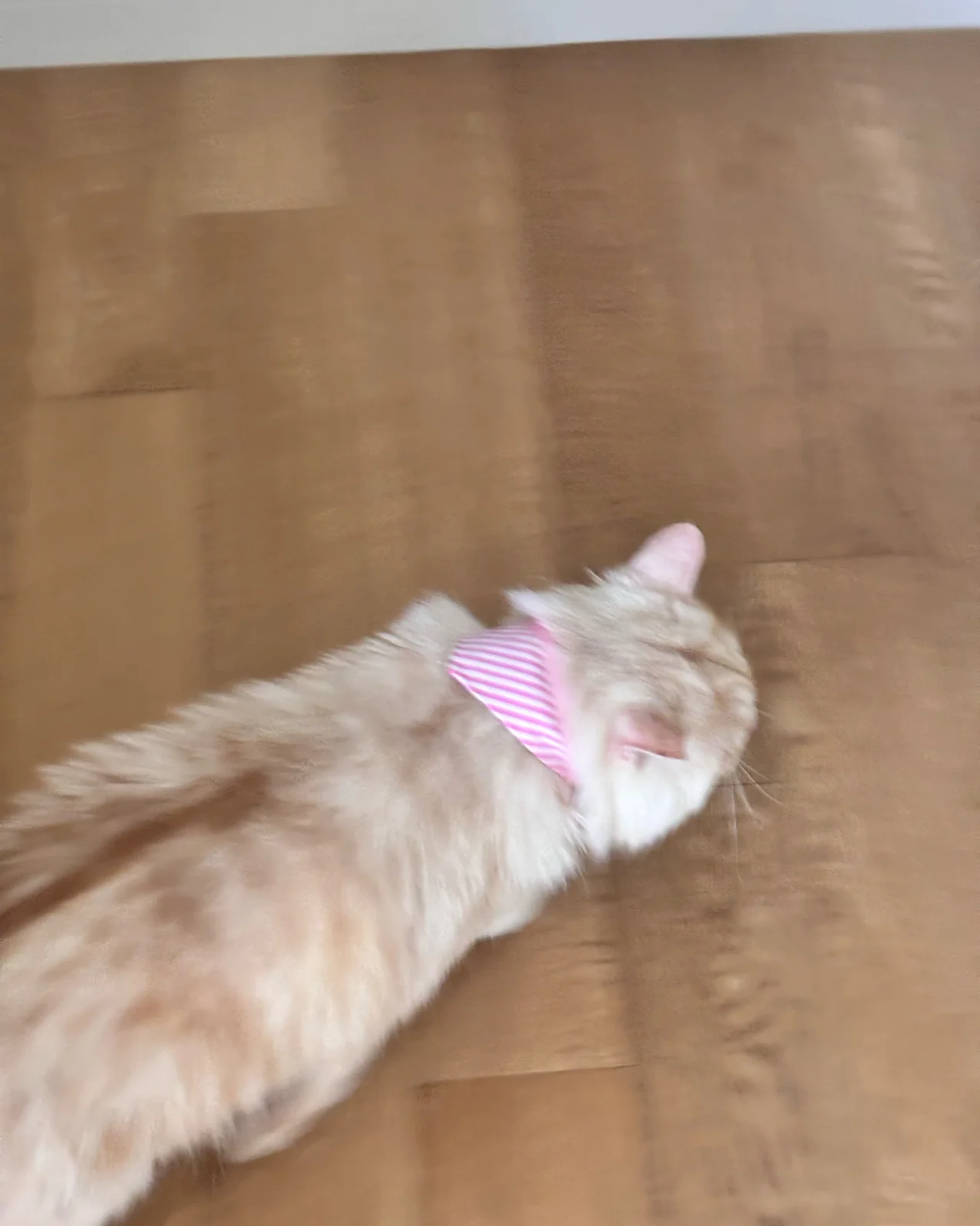 리뷰 사진 2