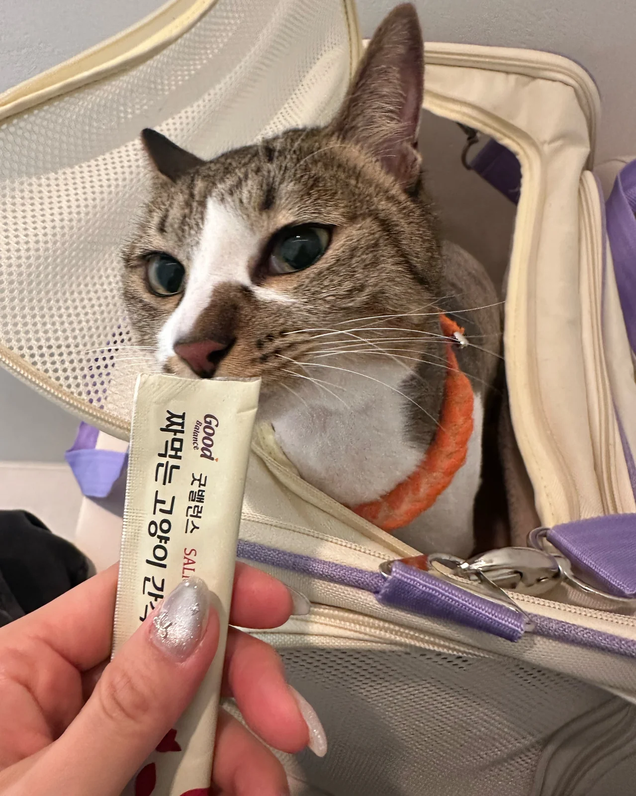 리뷰 사진 3