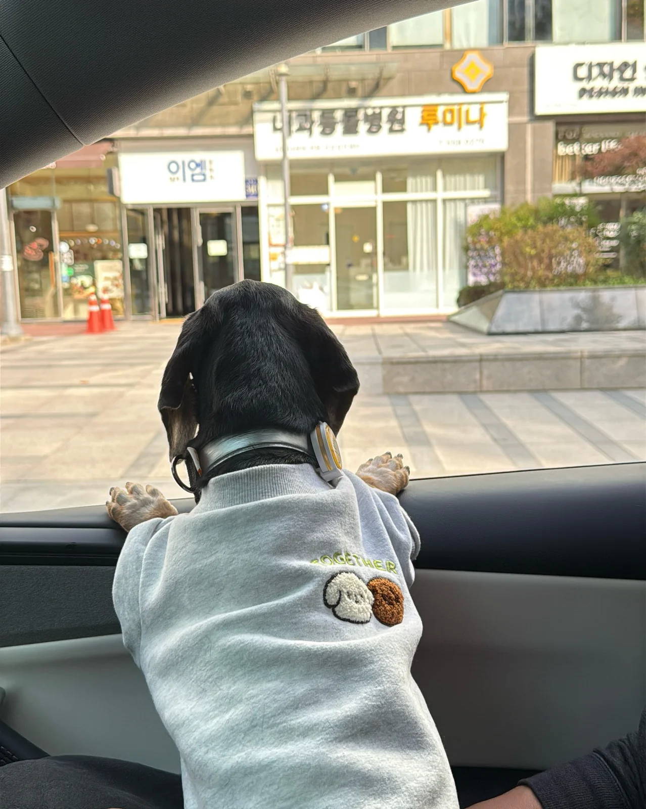 리뷰 사진 1