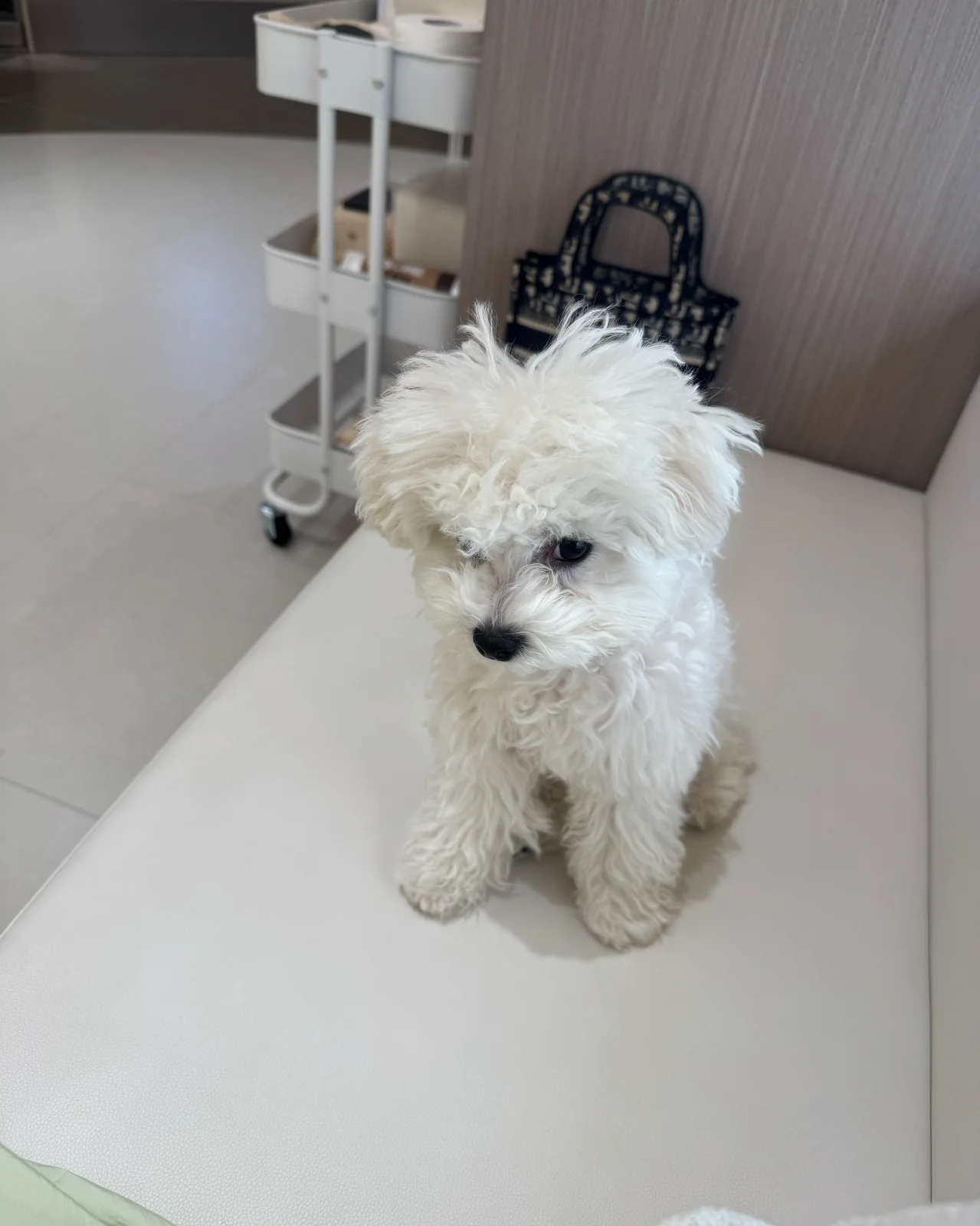 리뷰 사진 1