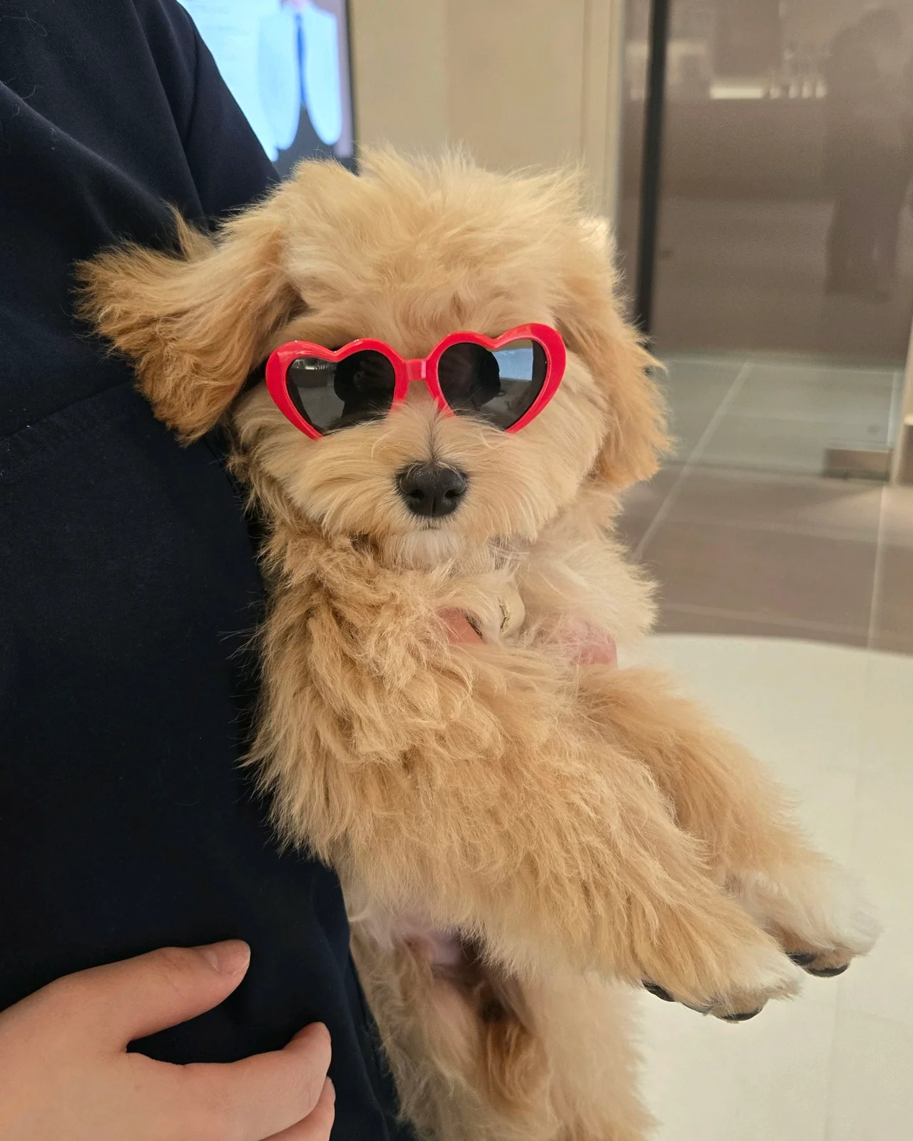 리뷰 사진 1