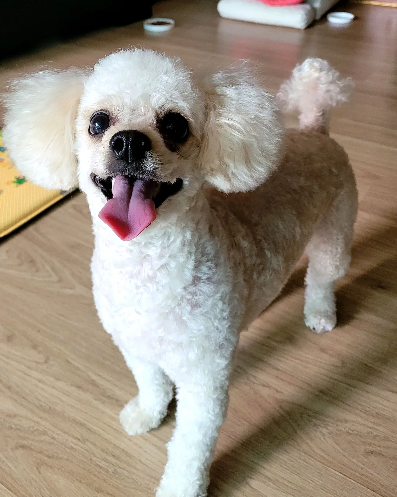 리뷰 사진 1