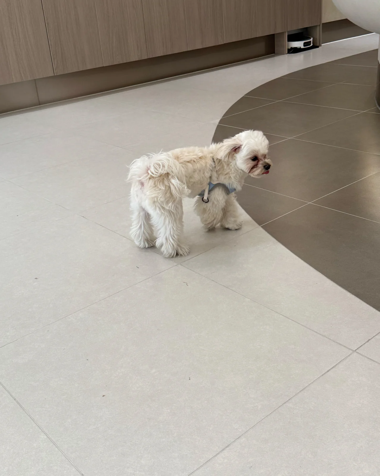 리뷰 사진 1