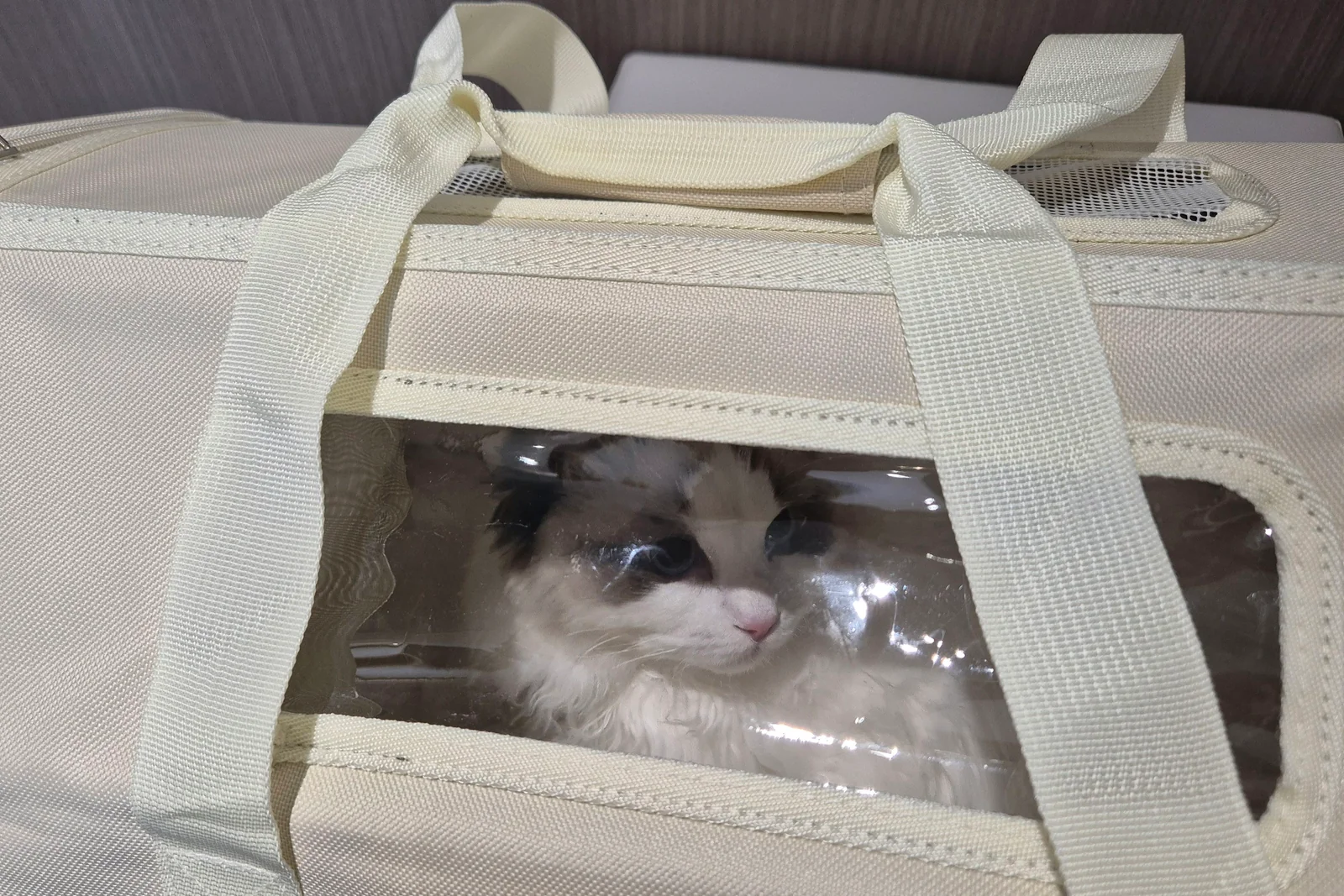 리뷰 사진 1