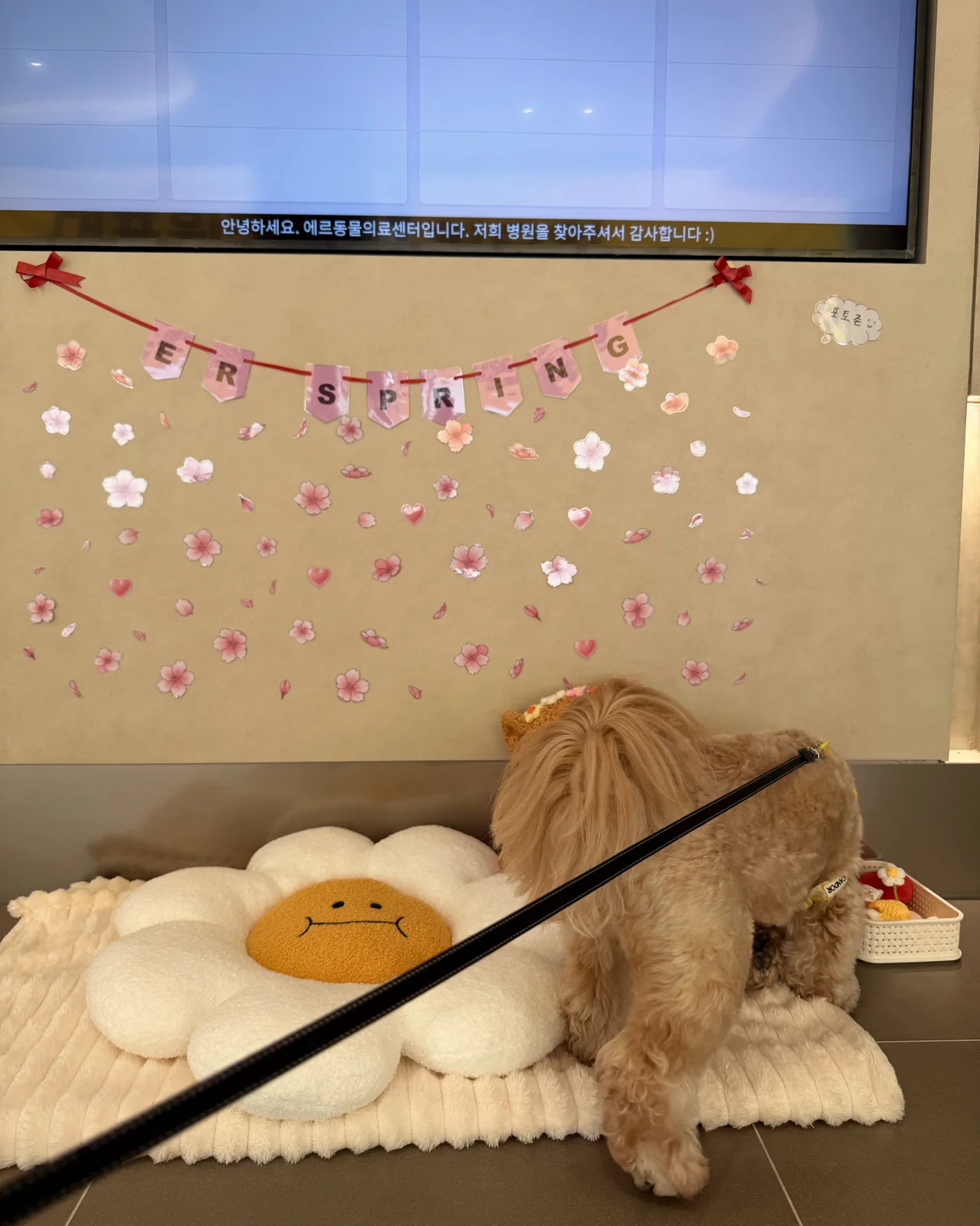 리뷰 사진 1
