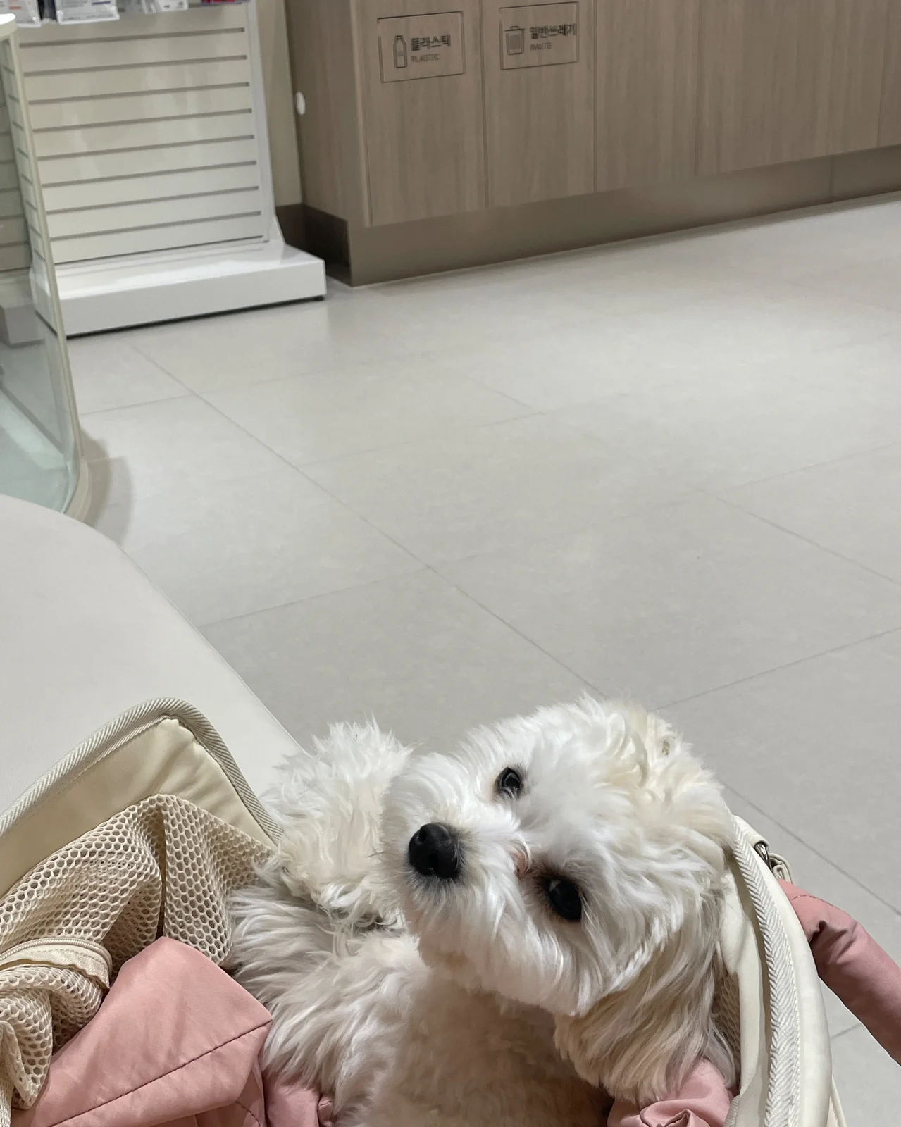리뷰 사진 2