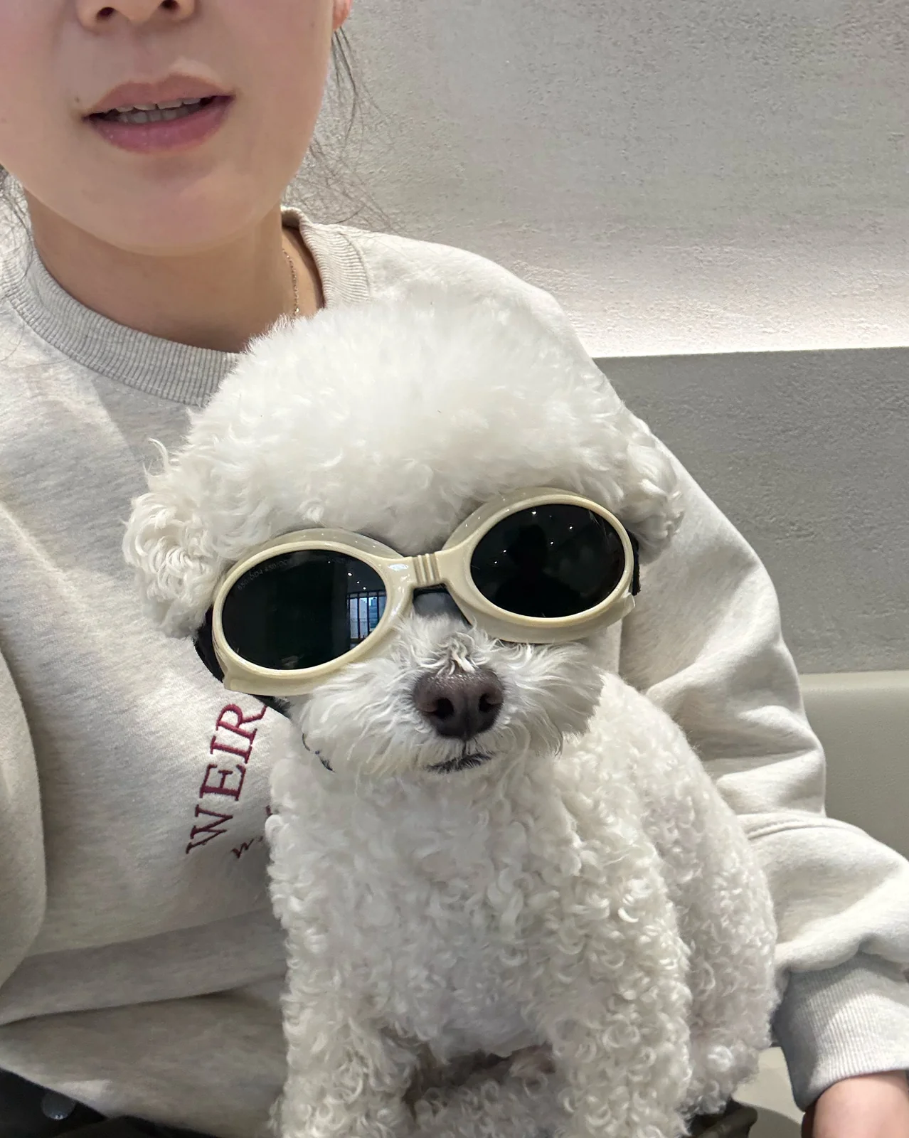 리뷰 사진 1