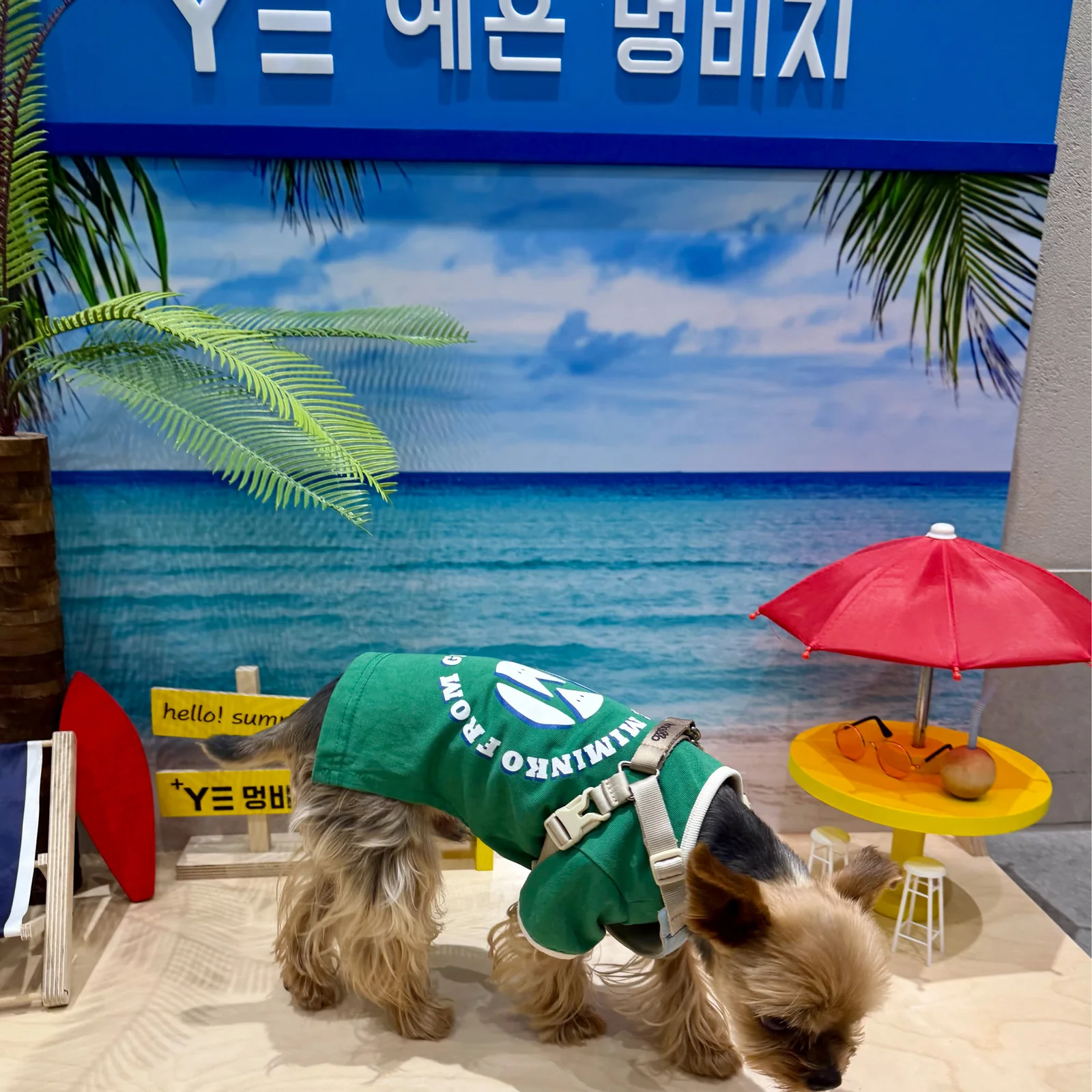 리뷰 사진 1