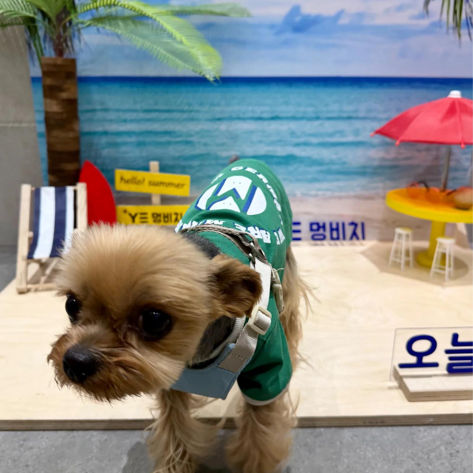 리뷰 사진 2