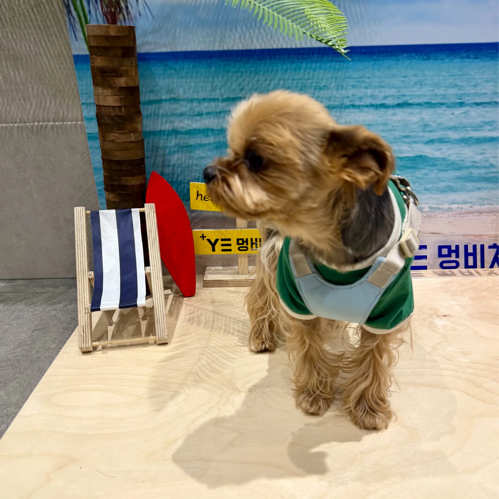 리뷰 사진 3