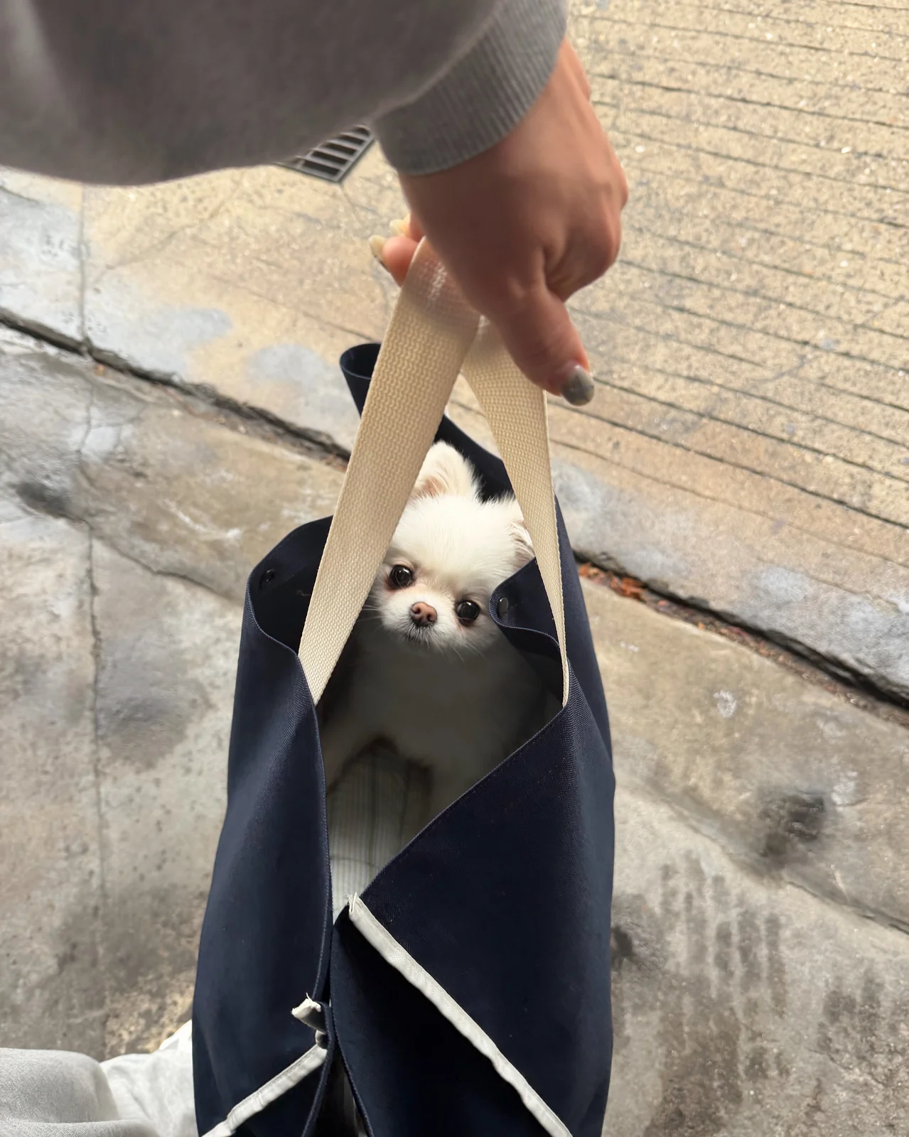 리뷰 사진 2