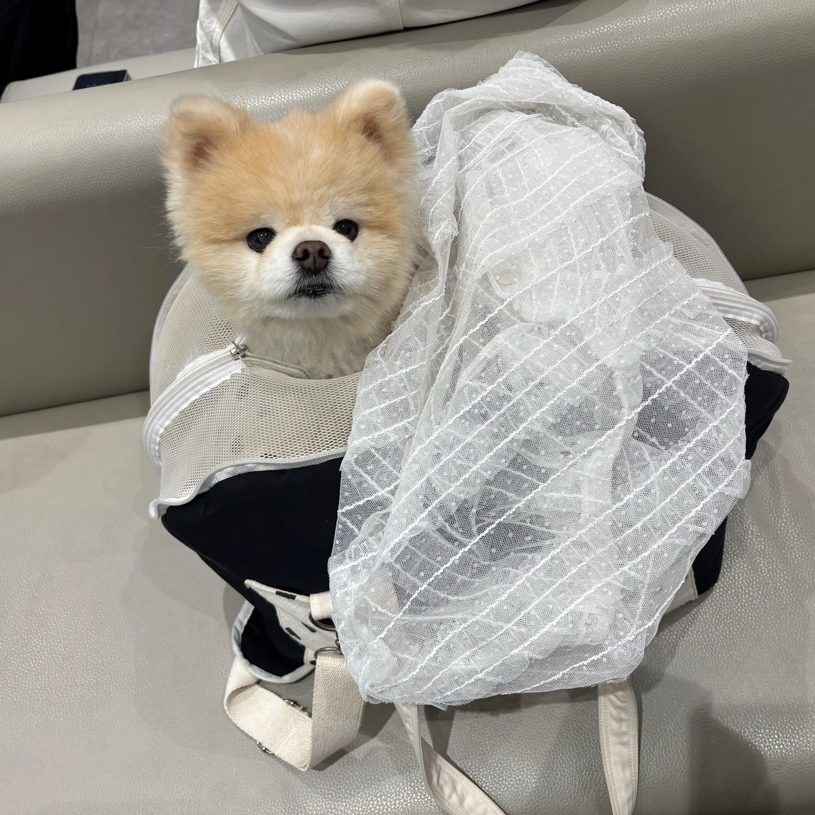 리뷰 사진 1