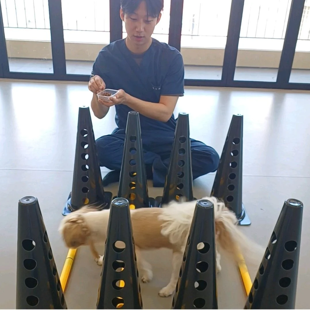 리뷰 사진 1