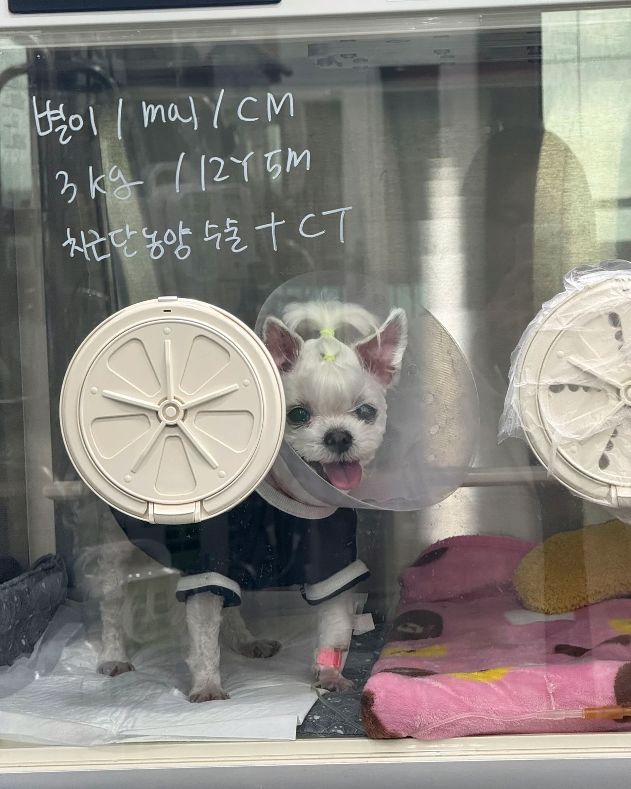 리뷰 사진 1