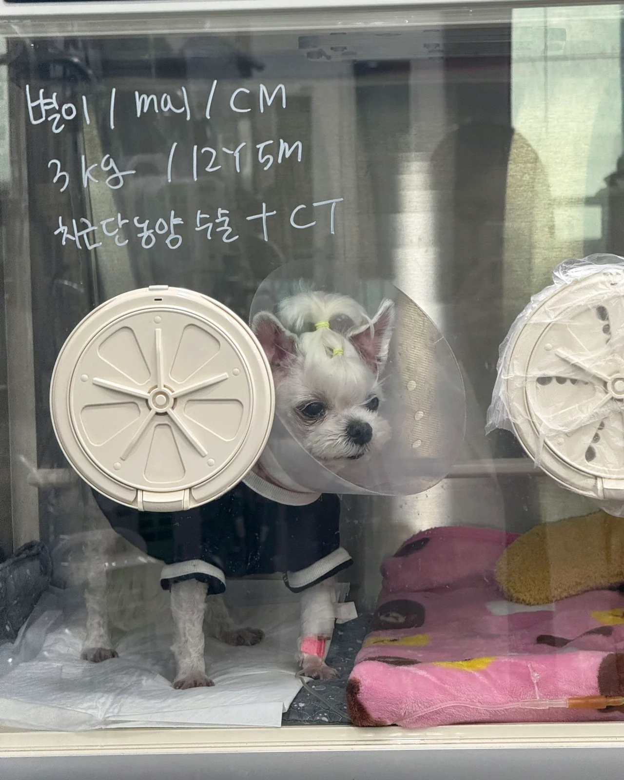 리뷰 사진 2