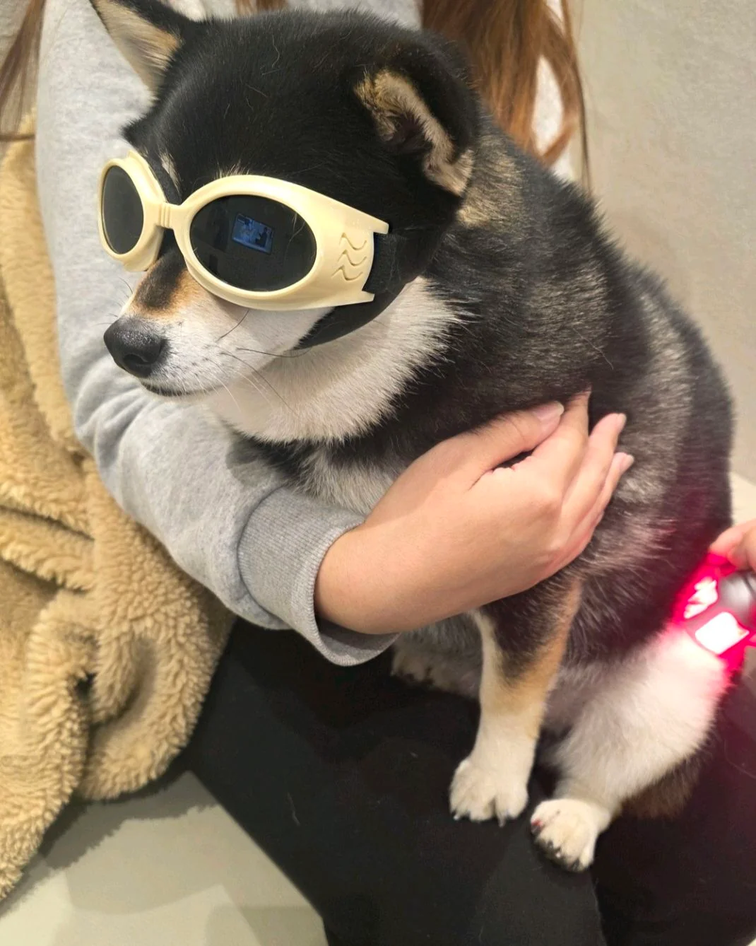리뷰 사진 1