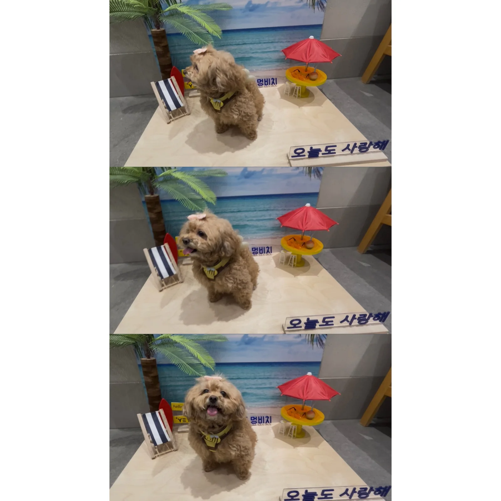리뷰 사진 3
