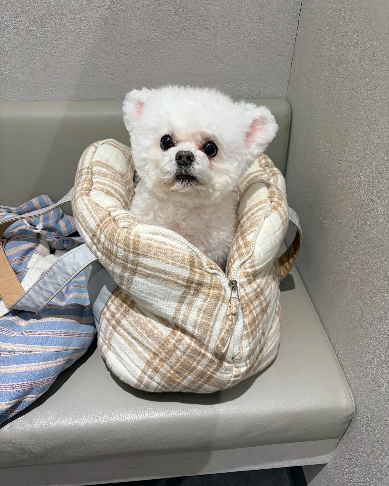 리뷰 사진 2