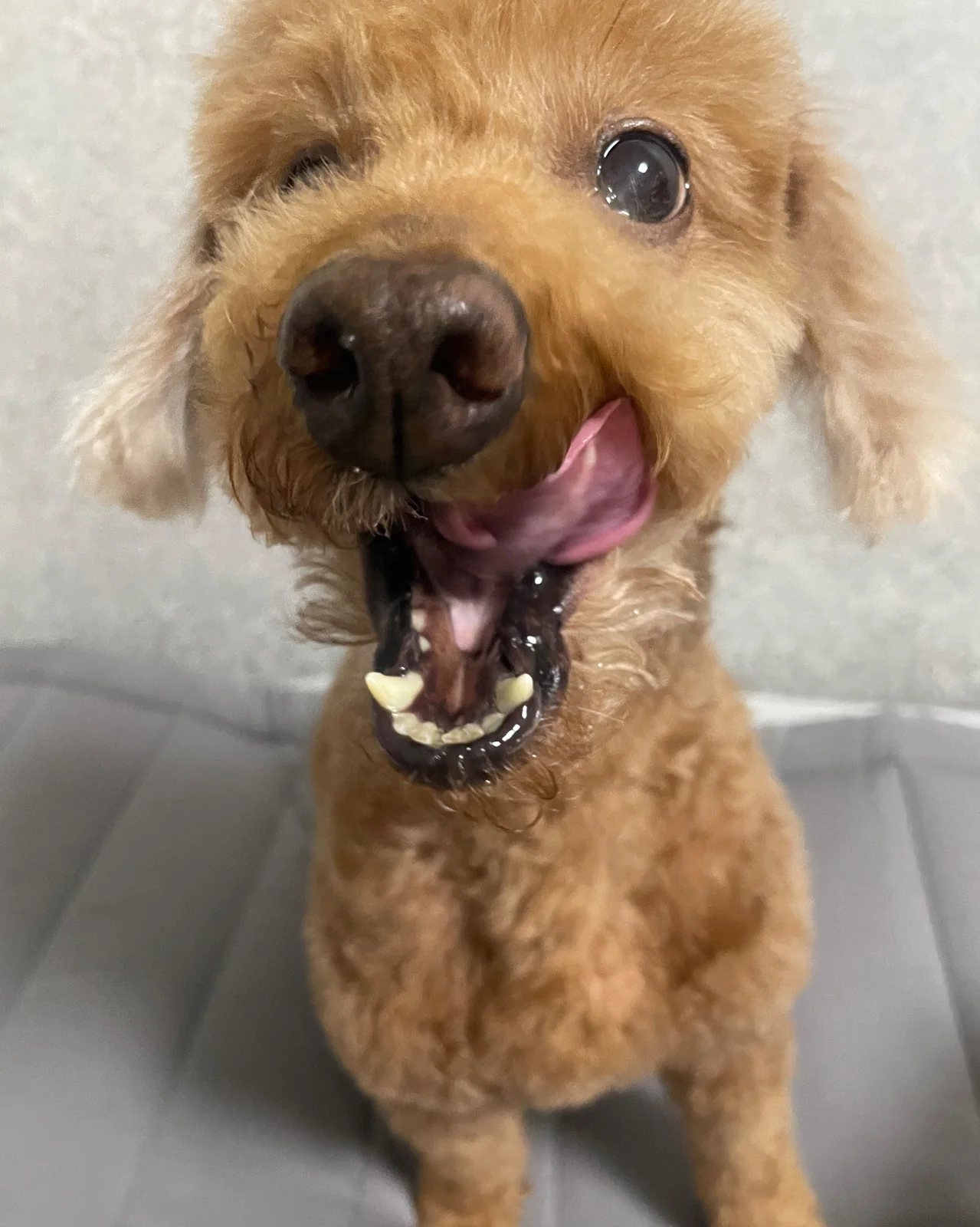 리뷰 사진 3