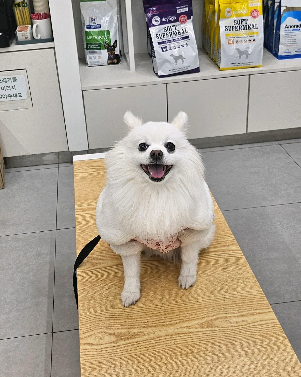 리뷰 사진 1