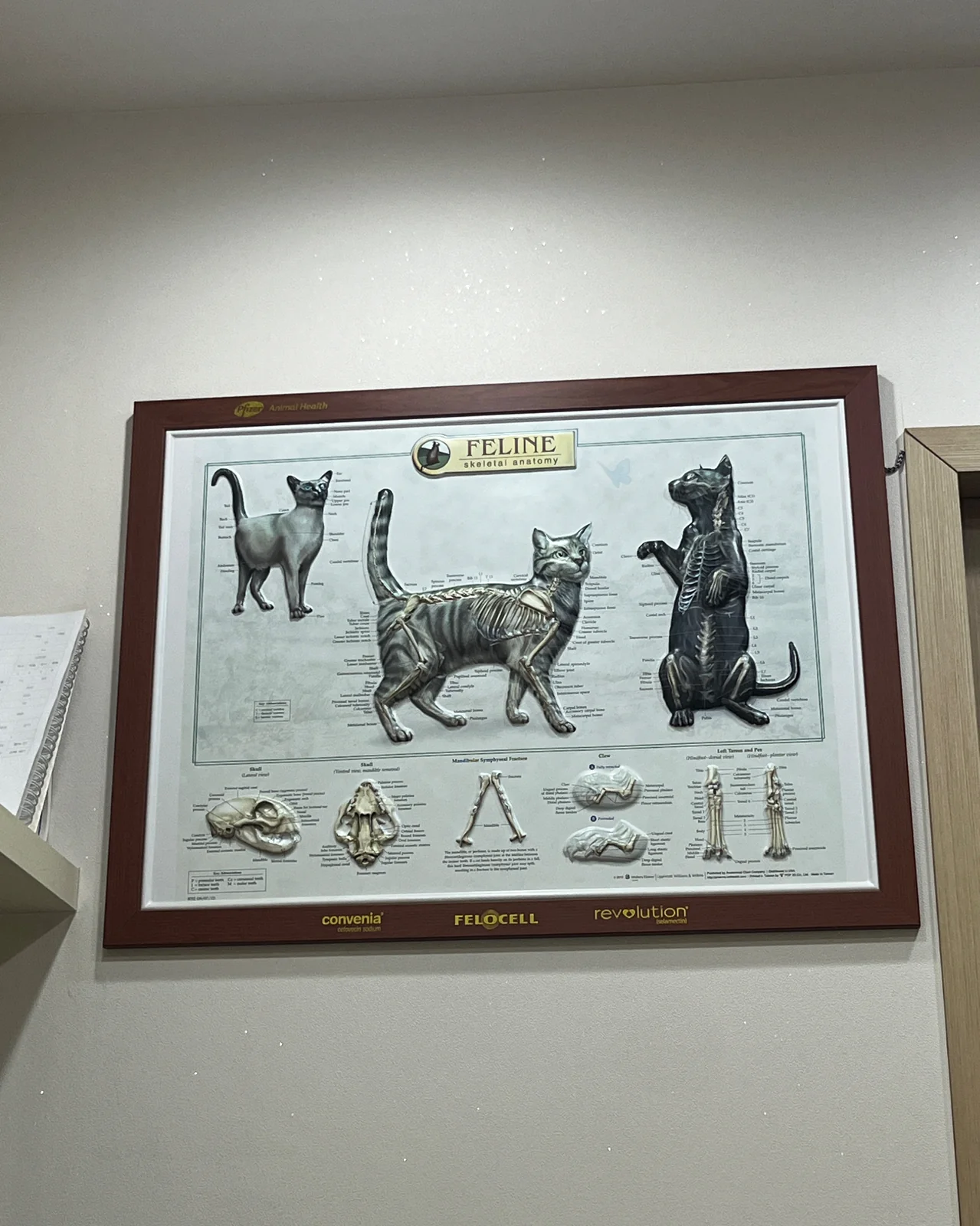 리뷰 사진 1