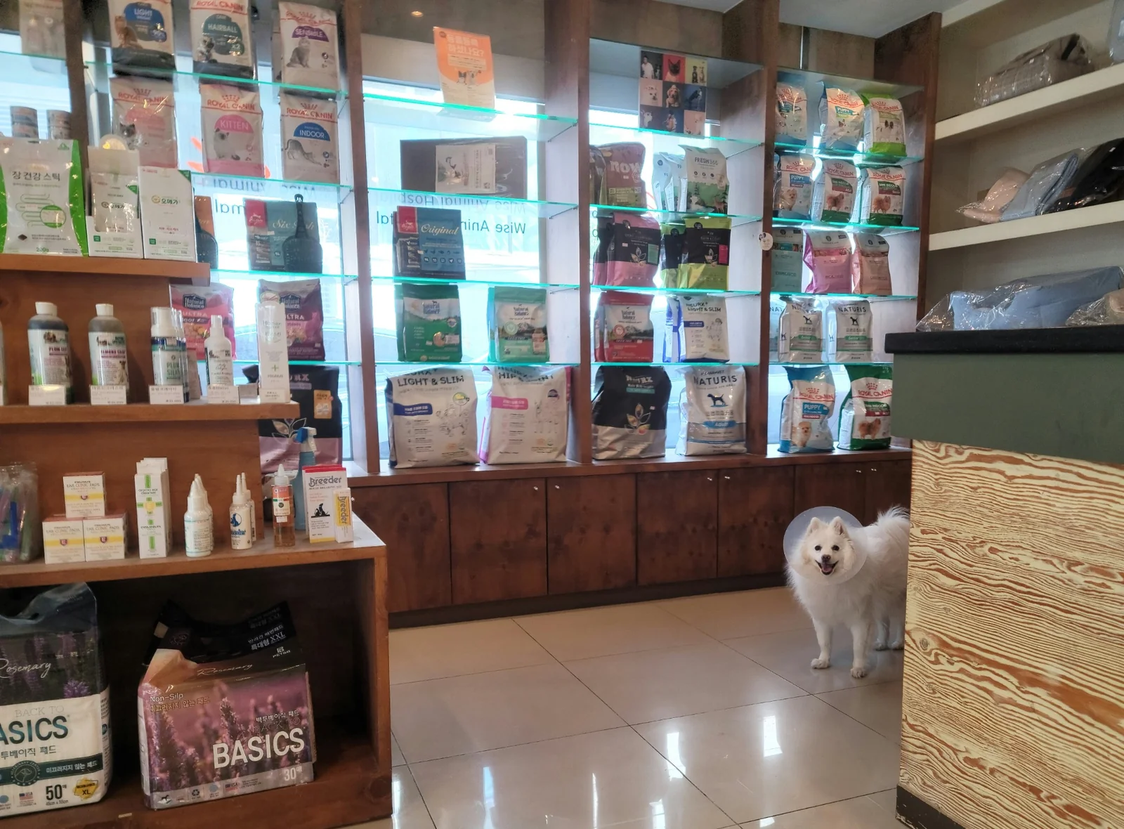 리뷰 사진 1