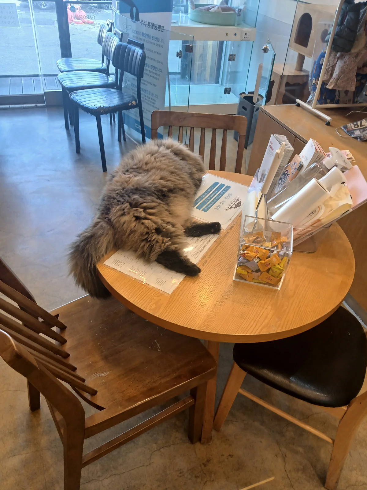 리뷰 사진 1