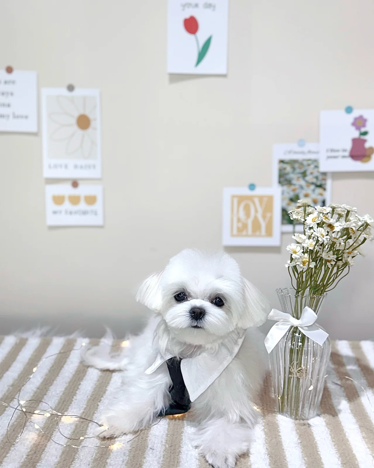 리뷰 사진 3