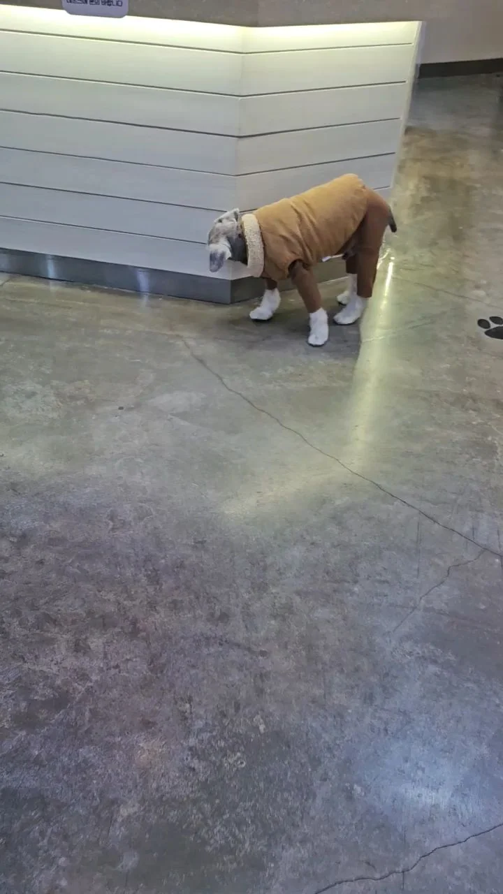 리뷰 사진 2