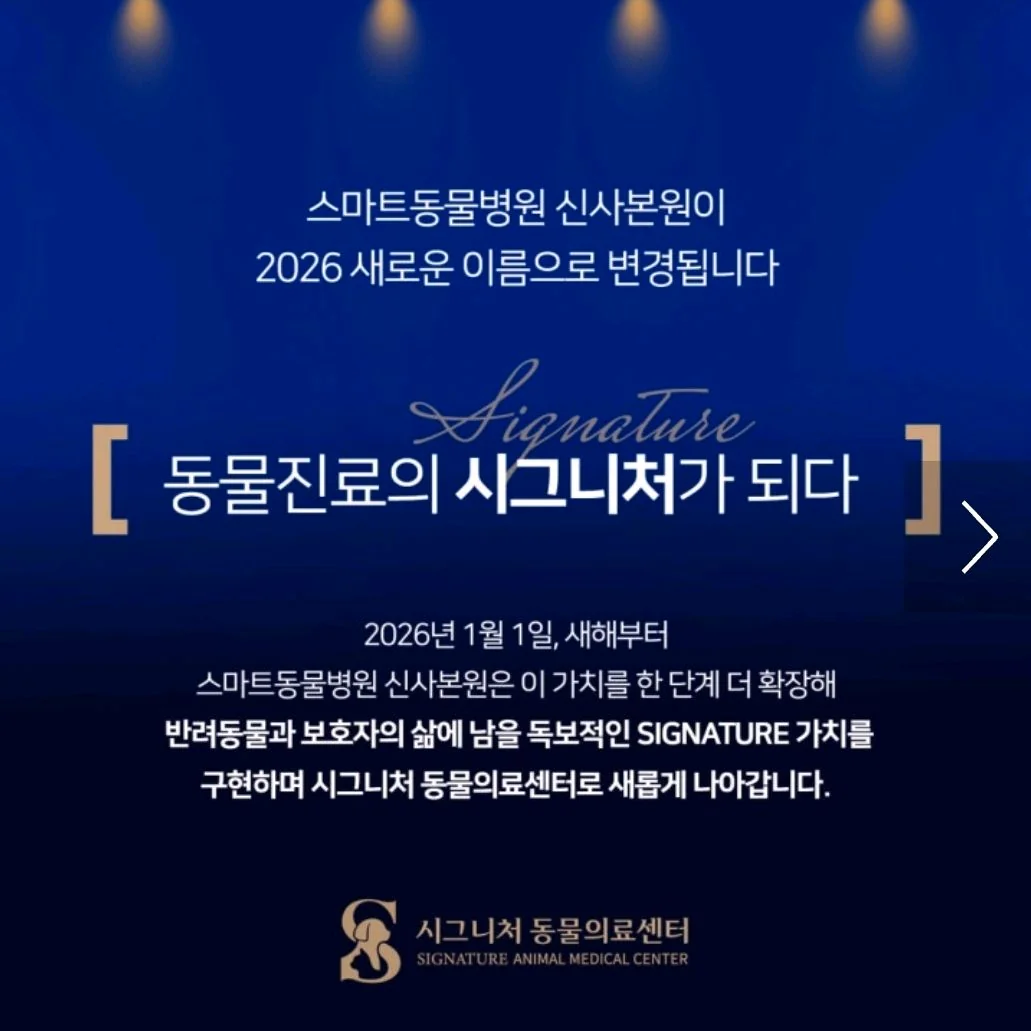 리뷰 사진 1