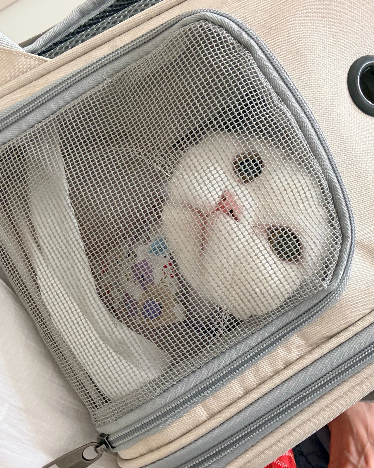 리뷰 사진 7