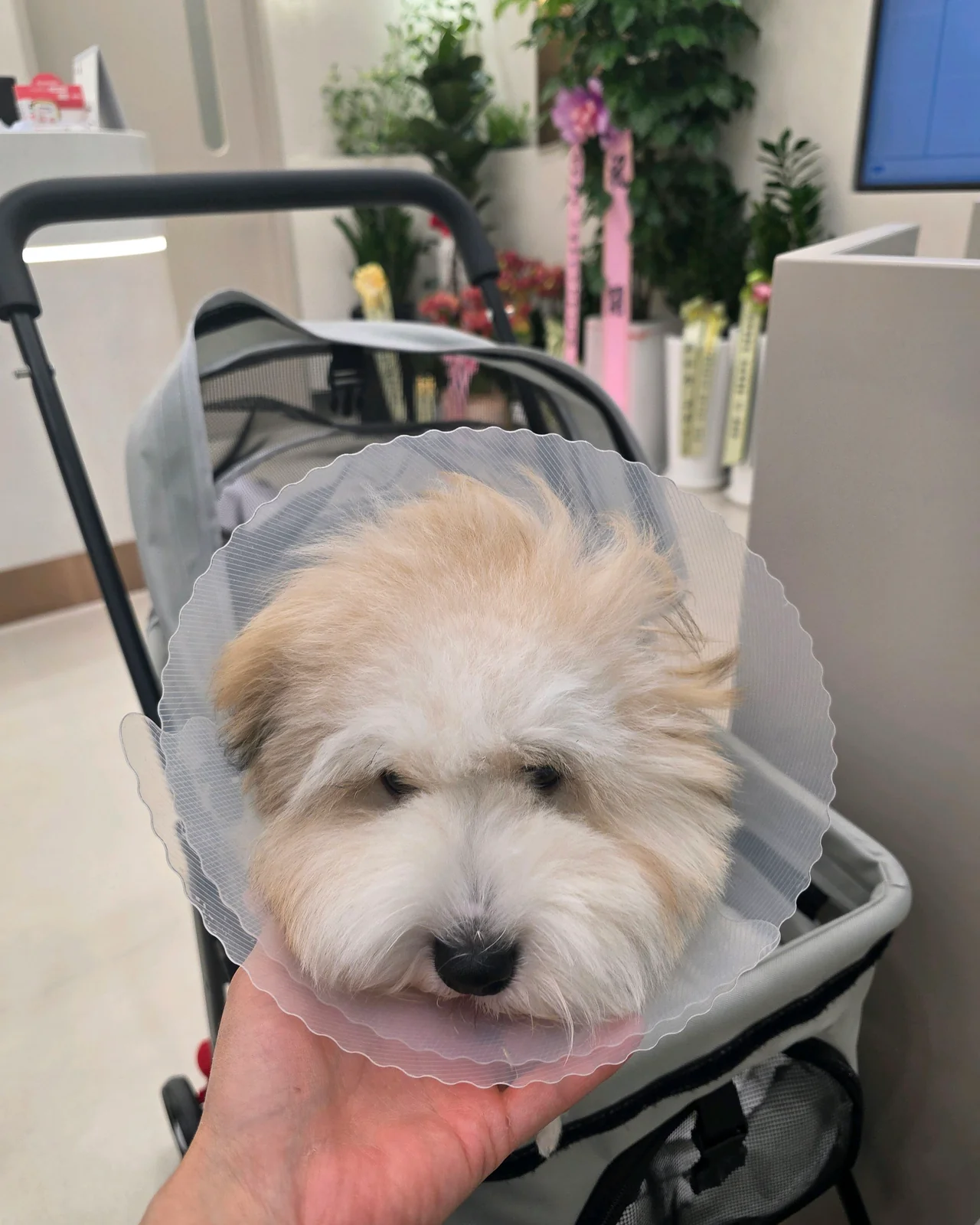 리뷰 사진 5