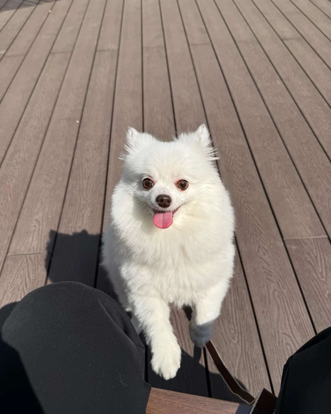 리뷰 사진 1