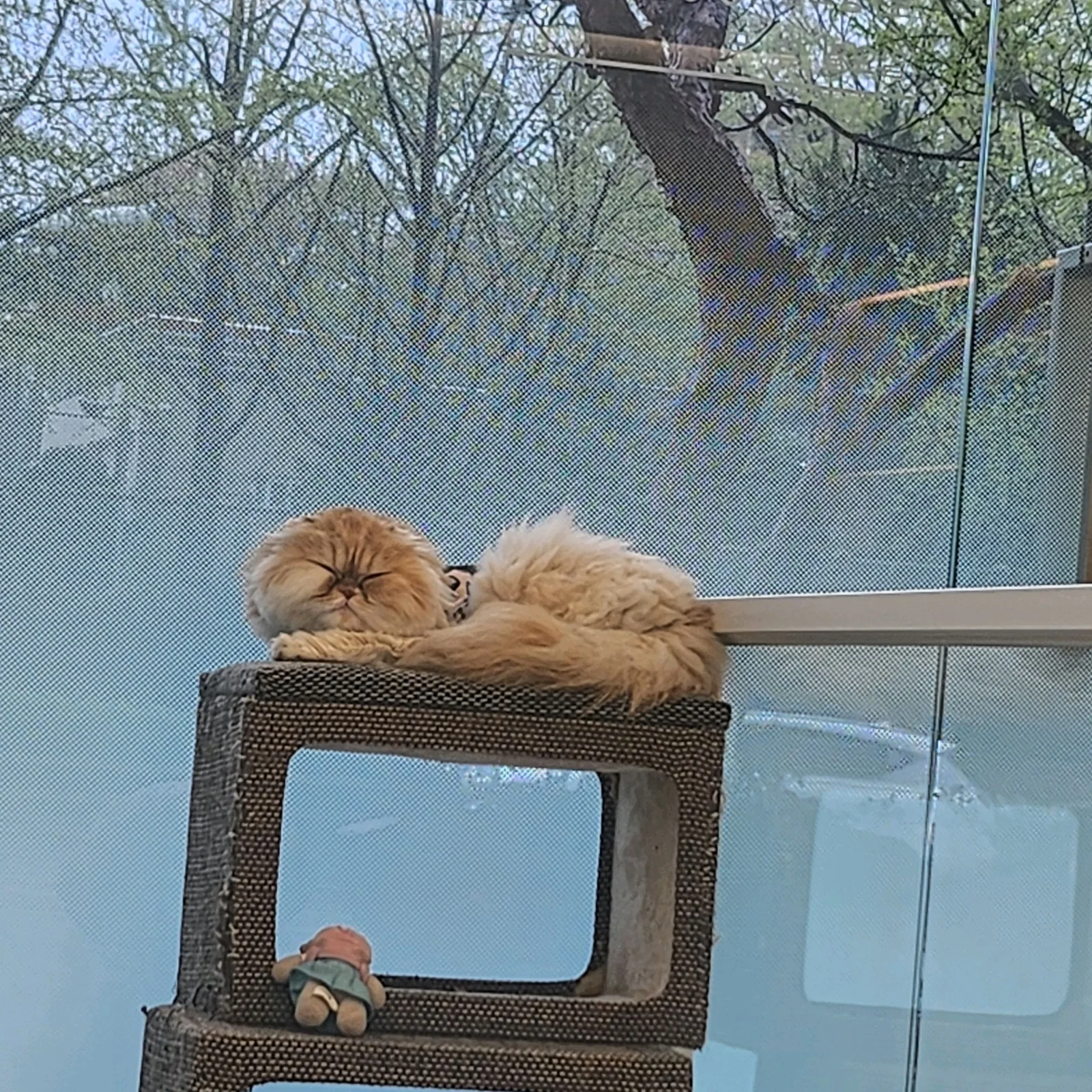 리뷰 사진 1