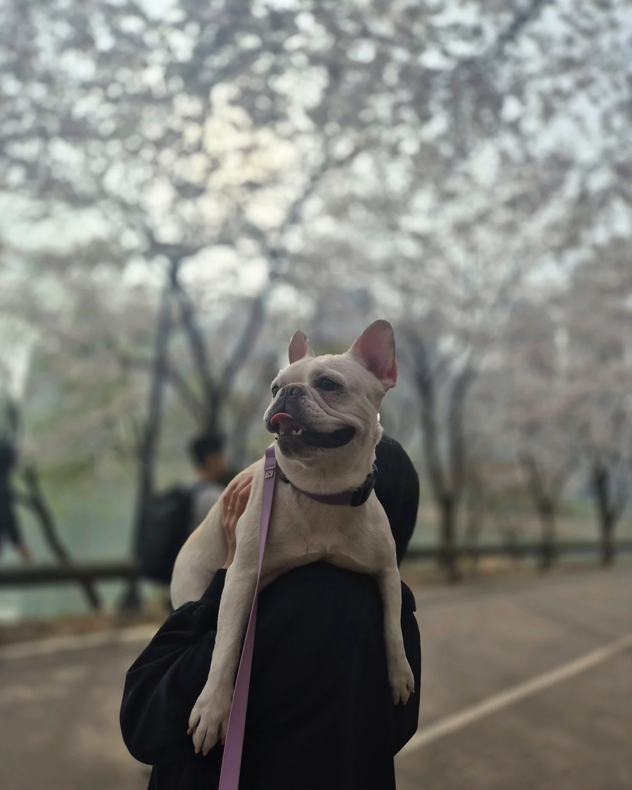 리뷰 사진 1