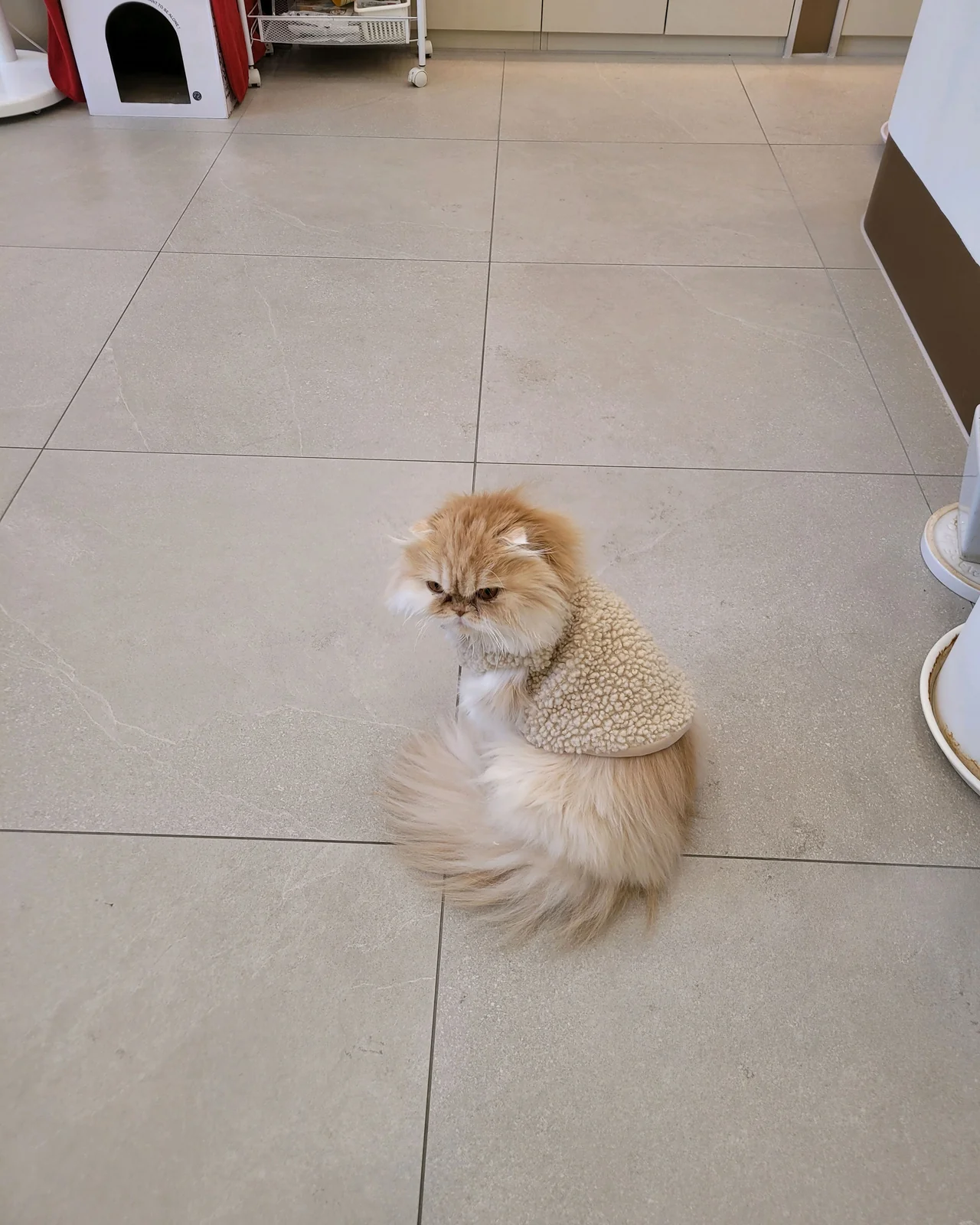 리뷰 사진 1