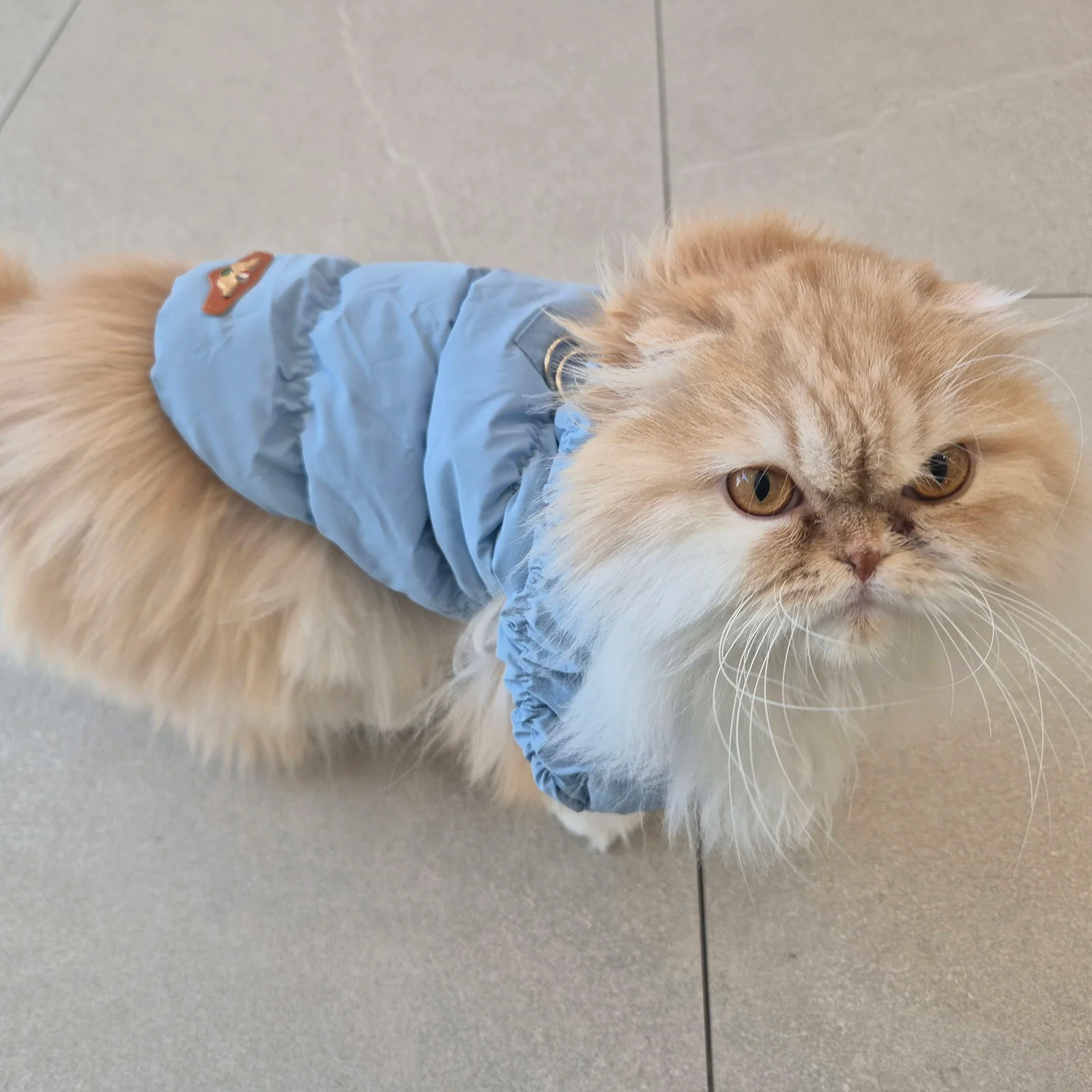 리뷰 사진 3